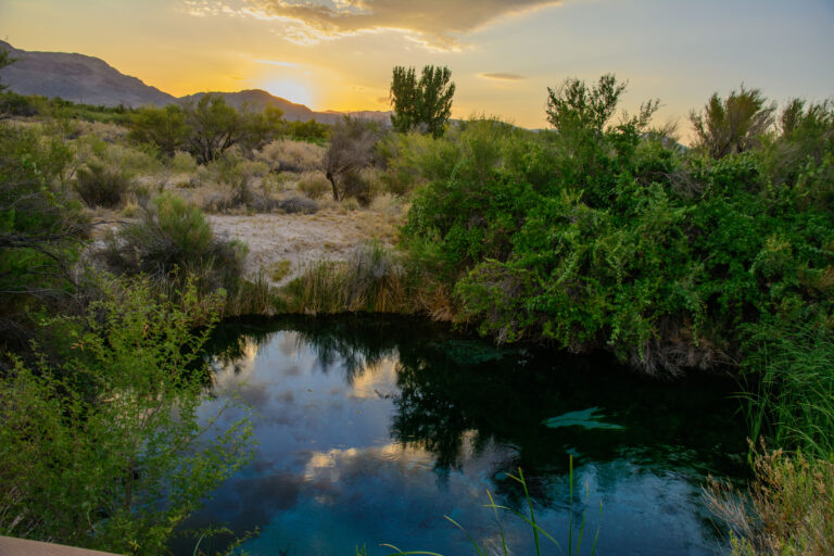 Newe (Western Shoshone Tribe) – Death Valley Natural History Association