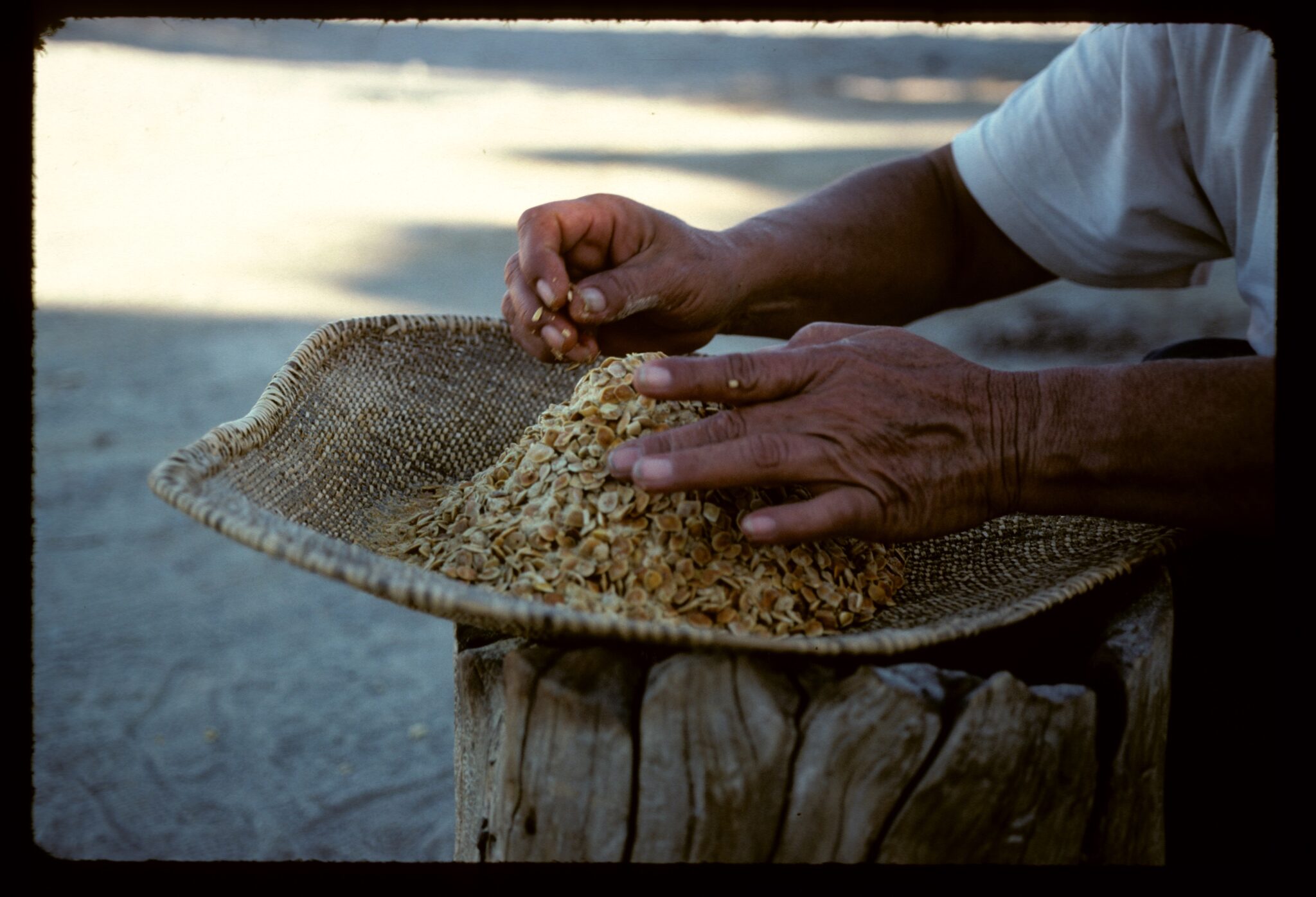 Timbisha Shoshone – Death Valley Natural History Association