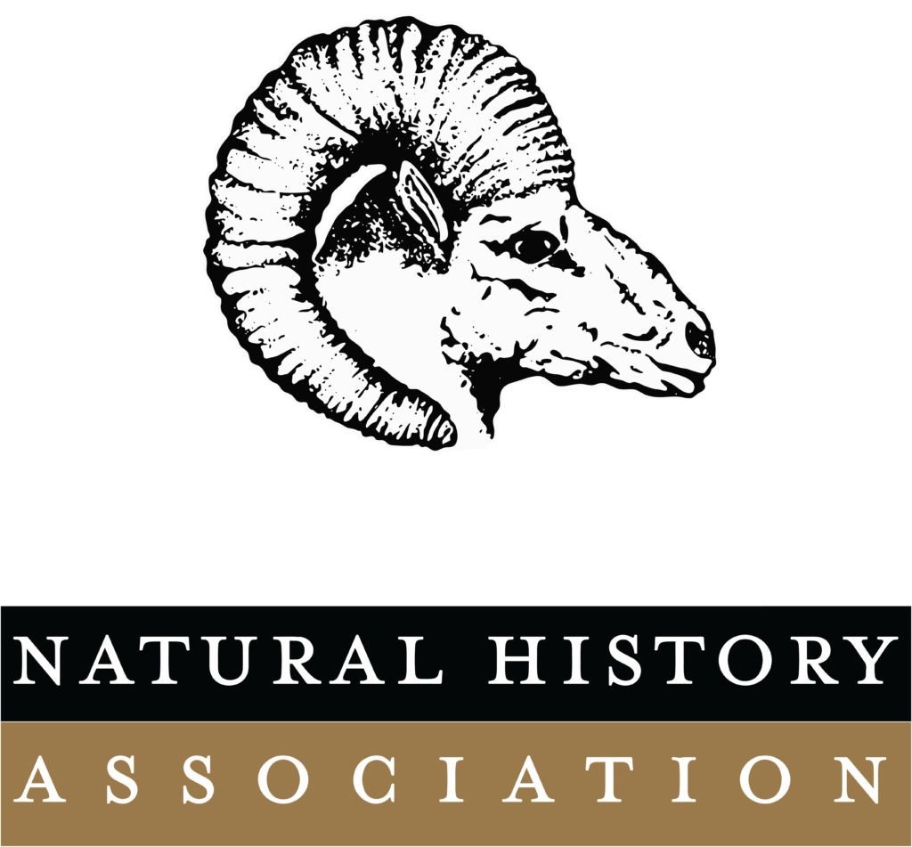 Geology death valley natural history association