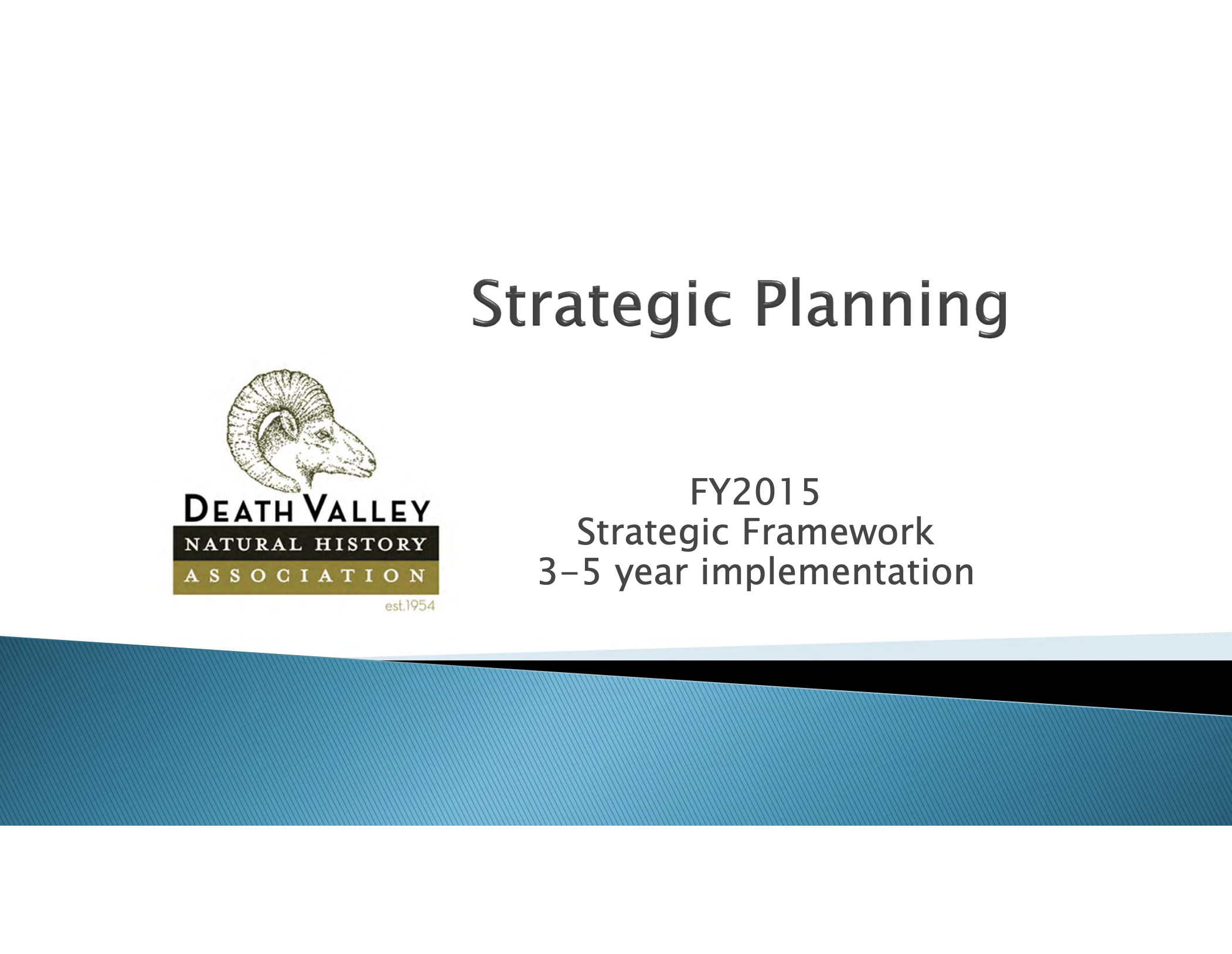 DVNHA Strategic Plan